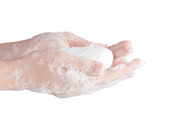 White soap in women's soapy hands on a transparent background. Photo with copy space.