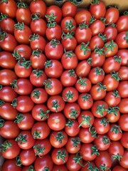 Background of cherry tomatoes in a box ready for delivery to the market