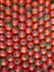 Background of cherry tomatoes in a box ready for delivery to the market