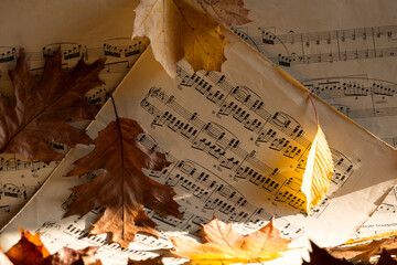 autumn leaves on music notes