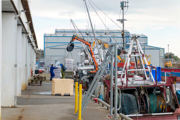 8 November 2022. Buckie, Moray, Scotland. This is Fishing Boats landing their catch at the pier of...