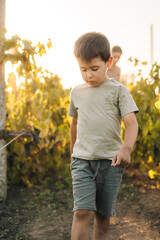 Happy preschooler boy walking outdoors through vineyards. Follow me on journey of life. Sunny day. Happy family, childhood.