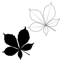 Set of vector chestnut leaf outline and silhouette black icon. Simple chestnut leaves illustration for logo. Realistic hand drawn leaves illustration set on white background.