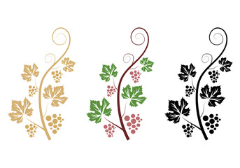 Decoration grapevine, Vine canes and grapes. Grape vine silhouette. Vector illustration.