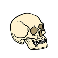 Skull Png Format With Transparent Background