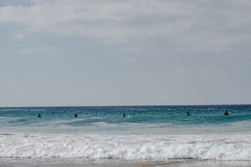 Fototapeta premium Surfers waiting for the wave
