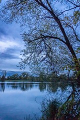 Obraz premium reflection of trees