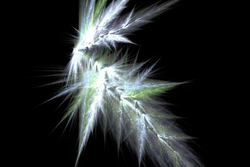 white feather on black background art abstract design graphic illustration fractal 