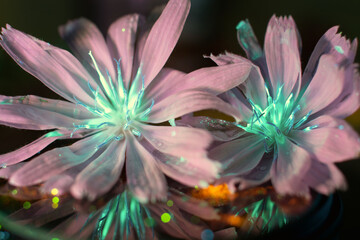 he Internal Revenue Service does not require your consent to any provisions of this document other...