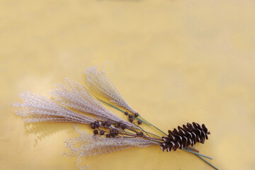 Dried Grrasses and Berries on Bottom of Golden Background