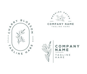 Botanical floral element hand drawn logo with wild flower and leaves  for spa and beauty organic shop