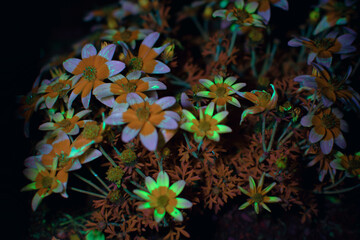 he Internal Revenue Service does not require your consent to any provisions of this document other...