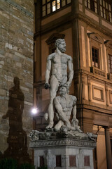 Fototapeta na wymiar Piazza della Signoria in Florence, Italy.