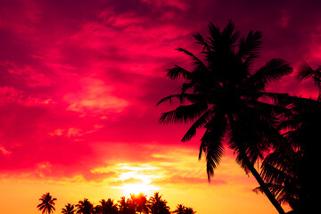 Obraz na płótnie Canvas Coconut palm trees silhouettes at sunset with colorful sky