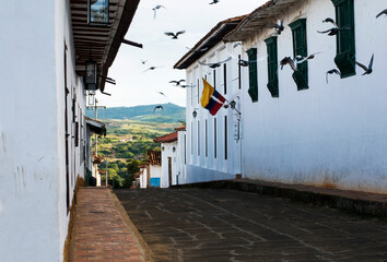 Doves flying over a street in the town named Barichara in Colombia