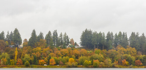Scenic Autumn Landscape in Marathon Park along Capitol Lake in Olympia, Washington