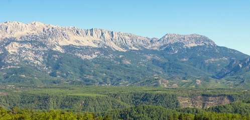 Panoramic view of mountain rock range and pine forests below in Turkey.