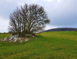 Natura © Rik De Santis