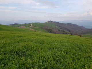 Natura © Rik De Santis