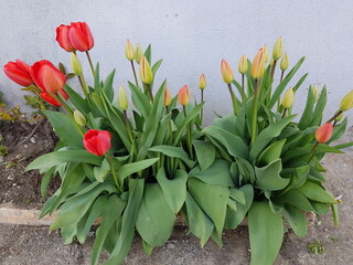 Natura © Rik De Santis