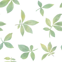 Fototapeta premium Seamless ornament of watercolor leaves. Botanical pattern for design, wallpaper, wrapping paper