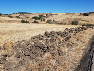Ambiente Natura © Rik De Santis