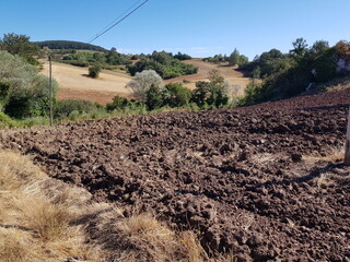 Ambiente Natura © Rik De Santis