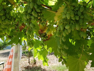 Ambiente Natura © Rik De Santis