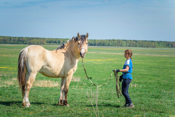 A young beautiful girl is engaged with a horse on a farm.