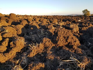 Ambiente Natura © Rik De Santis