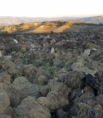 Ambiente Natura © Rik De Santis