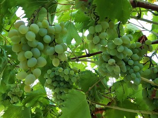 Ambiente Natura © Rik De Santis