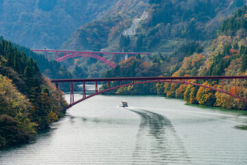 庄川峡遊覧船