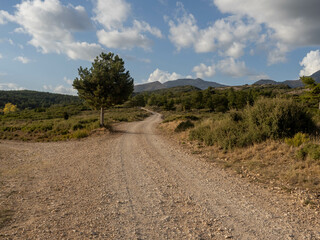 road in the mountains