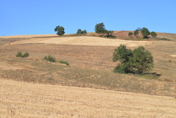 Ambiente Natura © Rik De Santis