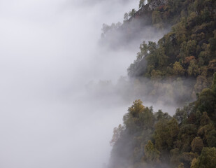 Mountain ranges with rocks overgrown with trees descend into clouds and fog, into a white shroud, a...