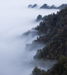 Mountain ranges with rocks overgrown with trees descend into clouds and fog, into a white shroud, a damp landscape in the autumn mountains