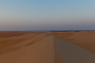 UAE. Desert  landscape