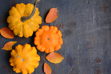Layout of orange patissons and pumpkins on a dark background, Top view, copy space