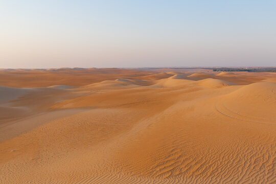UAE. Desert  landscape