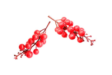 red berry isolated on white background - Powered by Adobe