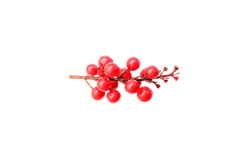 red berry isolated on white background