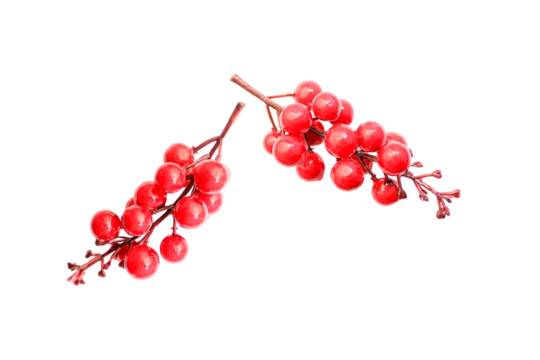 red berry isolated on white background