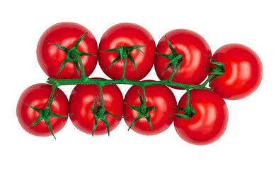 branch with ripe tomatoes, isolate , cocktail tomatoes