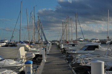 boats in the harbor