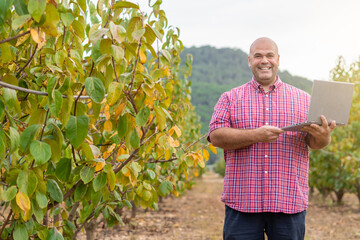 Fototapeta premium Male farmer agronomist smiles at the camera with a laptop in his hand in a field cultivated with persimmons