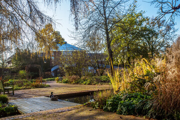 Gorgeous Volksgarten (Dusseldorf)   in  sunny 25 of November