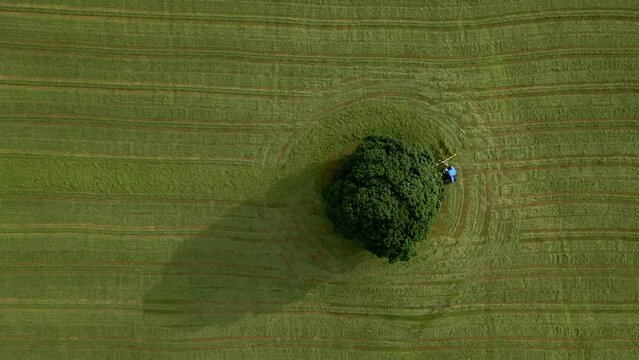 A drone shot of a tractor turning grass in a meadow near the Yorkshire Dales village of Malham, North Yorkshire.