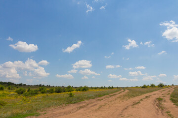 Fototapeta na wymiar A dirt road in the steppe near the village of Aktove. Mykolayiv region, Ukraine