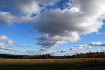 Obraz premium Clouds hang over the field in even rows. On an autumn sunny day, cumulus clouds hang over a distant forest and a meadow with yellowed grass. The White Clouds lined up in long, even rows.